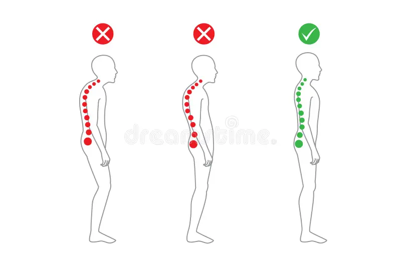 Illustrated figure showing a balanced standing alignment